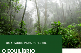 UEMA realiza o evento “ Uma tarde para refletir: o equilíbrio social, econômico e ambiental da Amazônia”