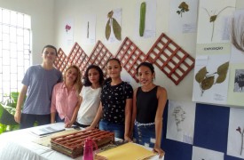 Professores e alunos do Campus Zé Doca fazem exposição sobre a flora zedoquense