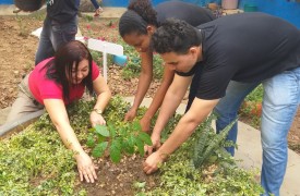 Campus Colinas promove Projeto Semear para Florescer
