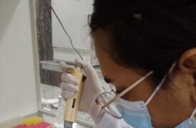 Pesquisadores do Hospital Veterinário da UEMA realizam estudo sobre Leptospirose na Ilha de São Luís