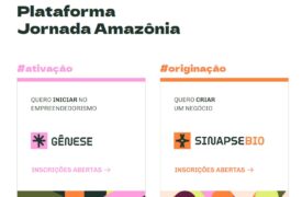 Plataforma Jornada Amazônia abre inscrições para o Gênese e o Sinapse da Bioeconomia, programas de estímulo ao empreendedorismo inovador na região