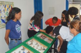 Coleção Zoológica do Maranhão participa da 21ª Semana Nacional de Museus, em Caxias