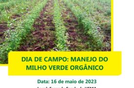 “Dia de Campo”: manejo do milho verde orgânico é tema de palestra com autoridades da Embrapa Cocais e Agerp