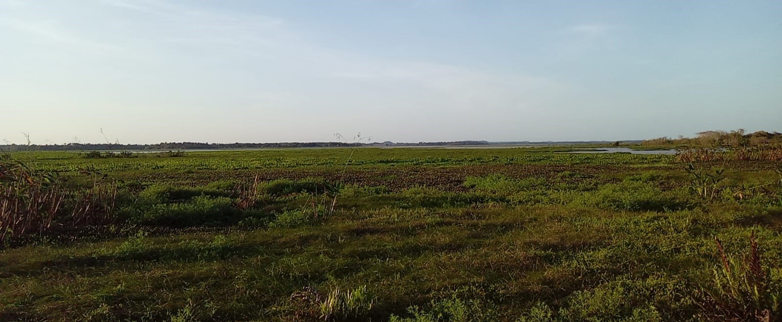 UEMA  Uema estará presenta na 1ª Feira Maranhense da Agricultura Familiar