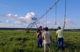 Visita técnica potencializa conhecimento de estudantes de Agrocomputação do Campus Grajaú sobre tecnologias agropecuárias