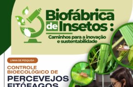 Biofábrica de Insetos integra o Circuito Salas Verdes