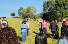Estudantes de Agrocomputação aprimoram conhecimentos em visita técnica a uma fazenda em Grajaú-MA