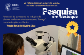 Pesquisa da Uema estuda a biotecnologia vegetal de fruteiras