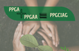 Fusão dos Programas de Pós-graduação em Agroecologia (PPGA)  e Agricultura e Ambiente (PPGAA) da Uema é aprovada pelo MEC