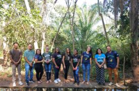 Acadêmicos de Gestão Ambiental realizam aula de campo no Parque Natural de Colinas-MA