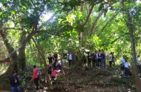 Trilha ambiental promove conscientização e saúde na Uema Campus Codó