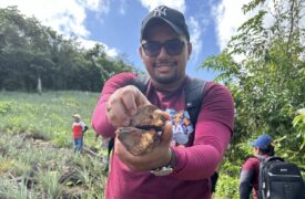 Alunos de Geografia do Polo Turiaçu do Programa Ensinar/Uema fazem análise geológica durante aula de campo