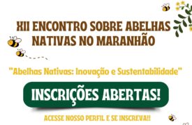 Uema sediará o XII Encontro sobre Abelhas Nativas