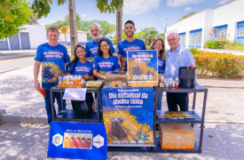 Laboratório da Uema realiza concurso do melhor mel de abelha tiúba do Maranhão