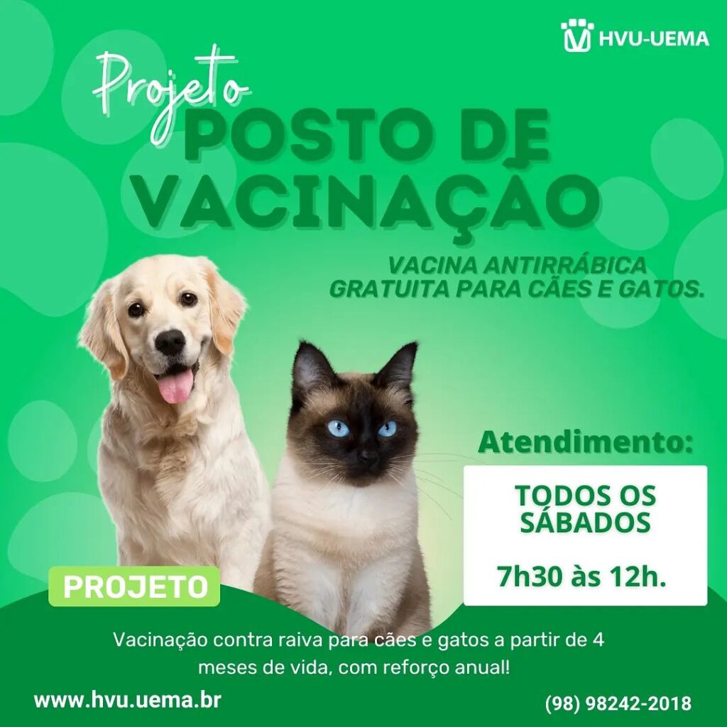 Hospital Veterinario Oyema ofrece vacunación antirrábica gratuita para perros y gatos