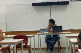 Professoras da Uema apresentam trabalho no IX SIMELP em Portugal