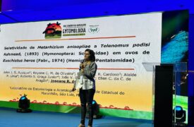 Professora da Uema participa do XXIV Congresso Brasileiro de Entomologia