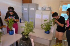 Uema promoveu oficina sensorial com plantas aromáticas em alusão ao dia nacional da luta da pessoa com deficiência