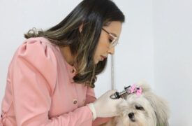 Hospital Veterinário da Uema informa mudança temporária no atendimento de Dermatologia entre os dias 22 de outubro a 01 de novembro