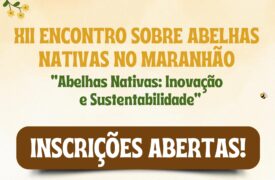 Uema abre inscrições para o Encontro de Abelhas Nativas do Maranhão que acontece em dezembro