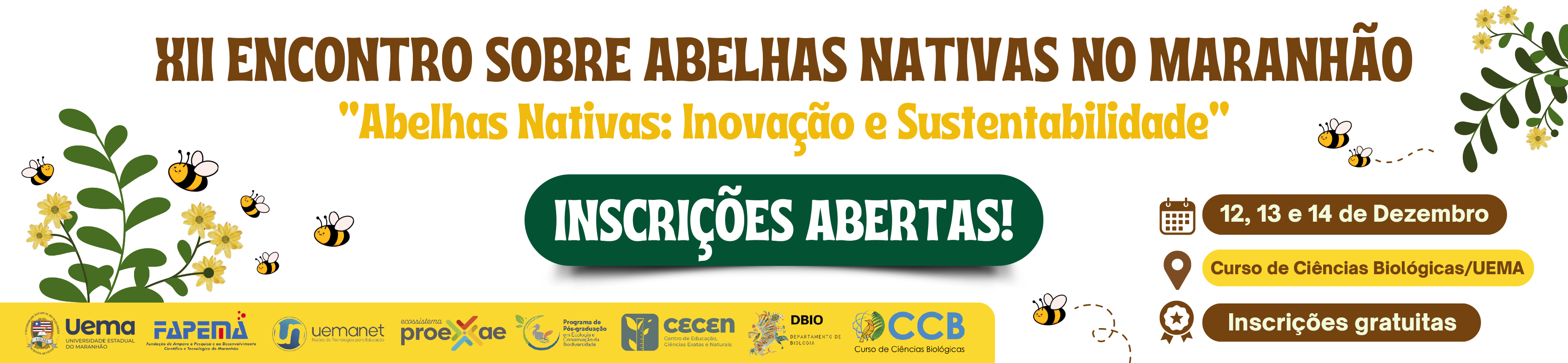 banner-abelhas-nativas