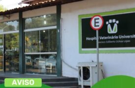 Hospital Veterinário da Uema funcionará durante o feriado desta quarta-feira (20)