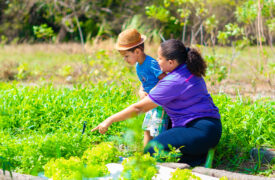 Uema realiza Circuito Rural com foco em práticas sustentáveis e troca de conhecimentos