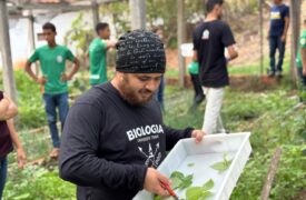 Uema Campus Lago da Pedra realiza I Curso de Extensão sobre plantas alimentícias não-convencionais (PANC)