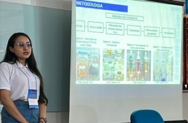 Alunos do Programa Ensinar apresentam trabalhos na Semana Acadêmica da Uema