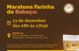 Uema convida universitários para a Maratona Farinha de Babaçu: Ideias que Transformam